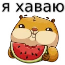 w3bs