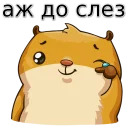 w3bs