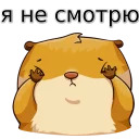 w3bs
