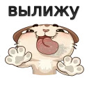 w3bs