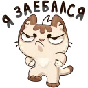w3bs