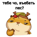 w3bs