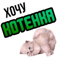 Хочу