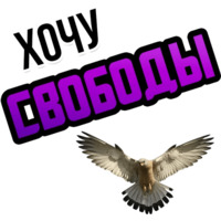 Хочу