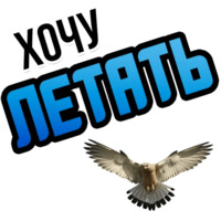 Хочу
