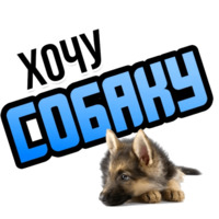 Хочу