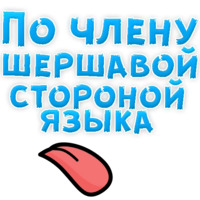 В ротик или на животик 3