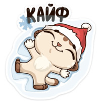 Зимний Котик