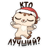 Зимний Котик