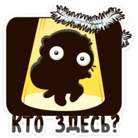 Зимний Котик