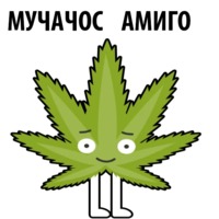 Без смысла и мозгов