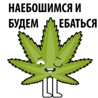 Без смысла и мозгов