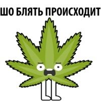 Без смысла и мозгов