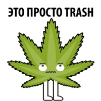 Без смысла и мозгов
