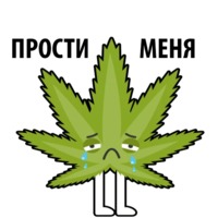 Без смысла и мозгов