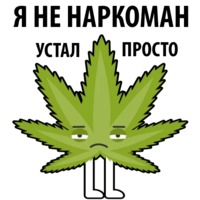 Без смысла и мозгов
