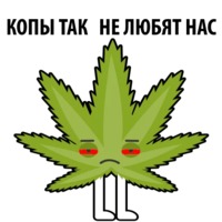 Без смысла и мозгов