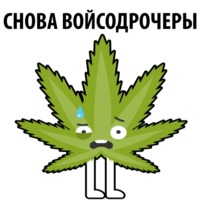 Без смысла и мозгов