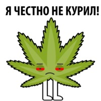Без смысла и мозгов