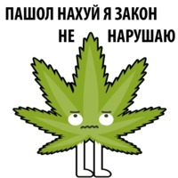Без смысла и мозгов