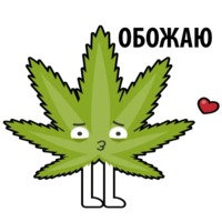 Без смысла и мозгов