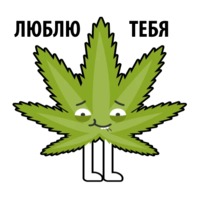 Без смысла и мозгов