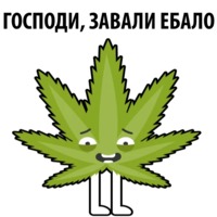 Без смысла и мозгов