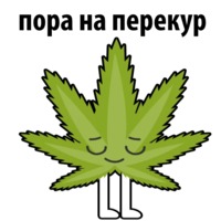 Без смысла и мозгов