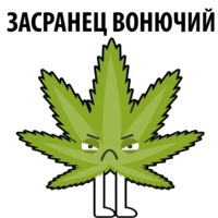 Без смысла и мозгов