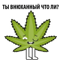 Без смысла и мозгов