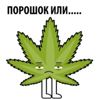 Без смысла и мозгов