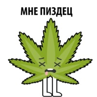 Без смысла и мозгов