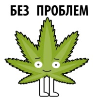 Без смысла и мозгов