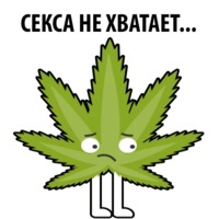 Без смысла и мозгов