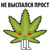 Без смысла и мозгов