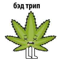 Без смысла и мозгов