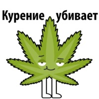 Без смысла и мозгов