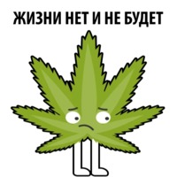 Без смысла и мозгов