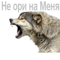 Wolf Gate