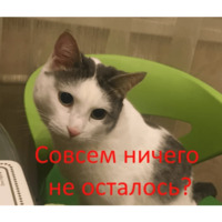 Кот Яков