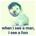Foals by @anothersideofindierock