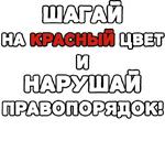 Егор Летов и Ко. (2)