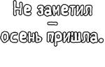 Егор Летов и Ко. (2)