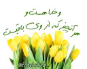 HamedZamani2