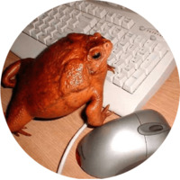 Жабки