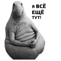 Ждун, спун и другие
