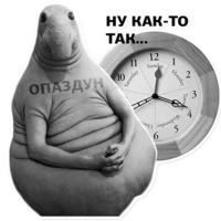 Ждун, спун и другие