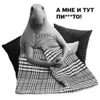 Ждун, спун и другие
