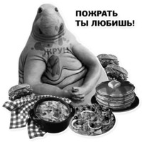 Ждун, спун и другие
