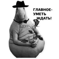 Ждун, спун и другие